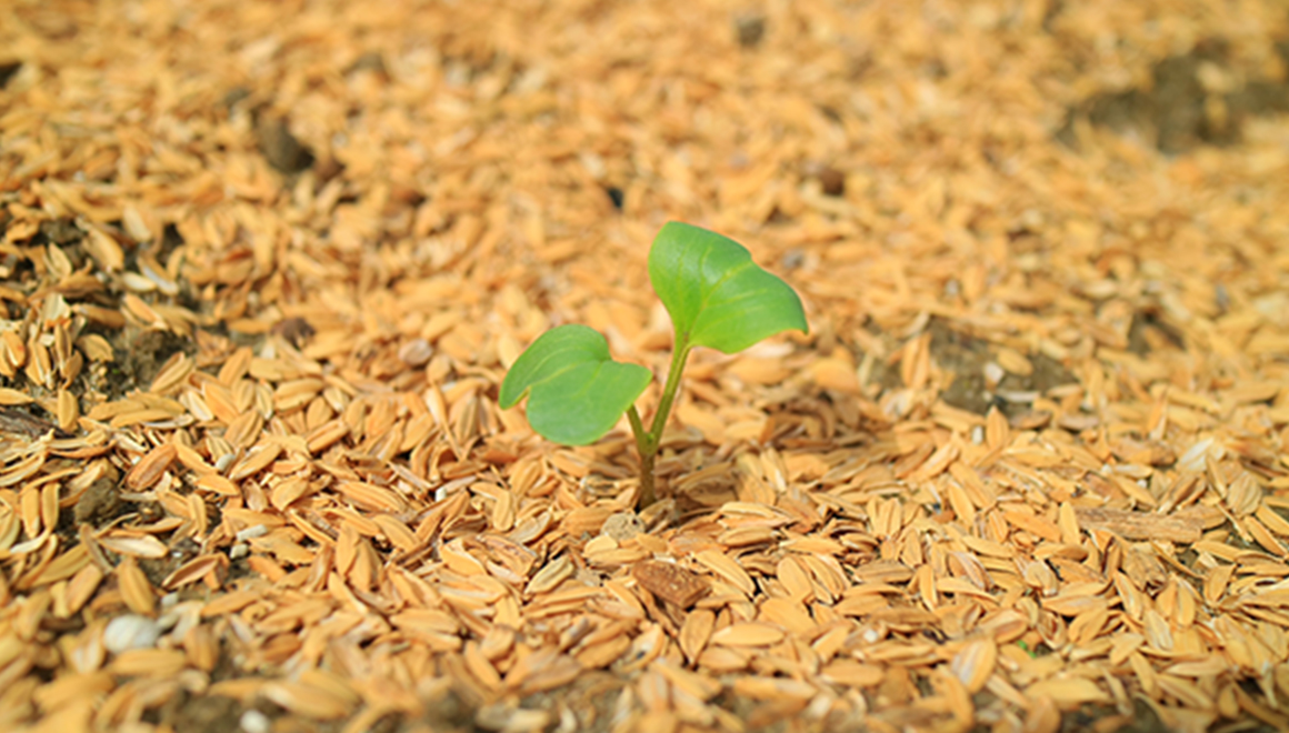 経営理念のイメージ